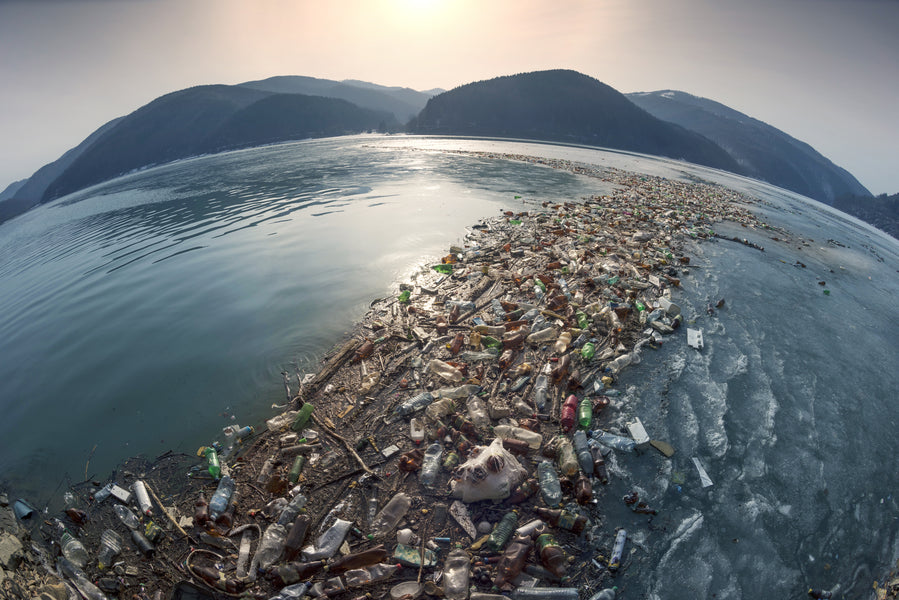 Groups Urge Biden to Take Action on Plastic Pollution Crisis